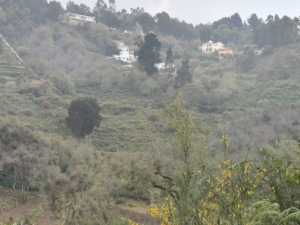 n3